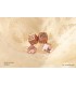 Dice 3DSquare Earrings (2070037)