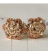 Rose Gold Earring (2020039)