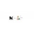 2 Earrings ( 2050086)